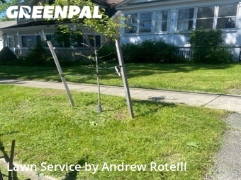 Lawn Mow nearby Syracuse, NY, 