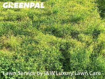 Yard Mowing nearby Fort Mill, SC, 