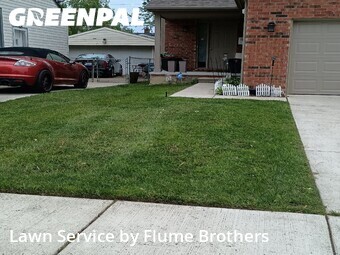 Lawn Mowing nearby Roseville, MI, 