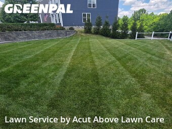 Grass Cut nearby Bridgeville, PA, 