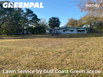 Lawn Care Service nearby St. Petersburg, FL, 