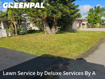 Lawn Care in Tamarac, 33321, Weekly Mowing by Deluxe Services By A, work completed in Nov , 2025