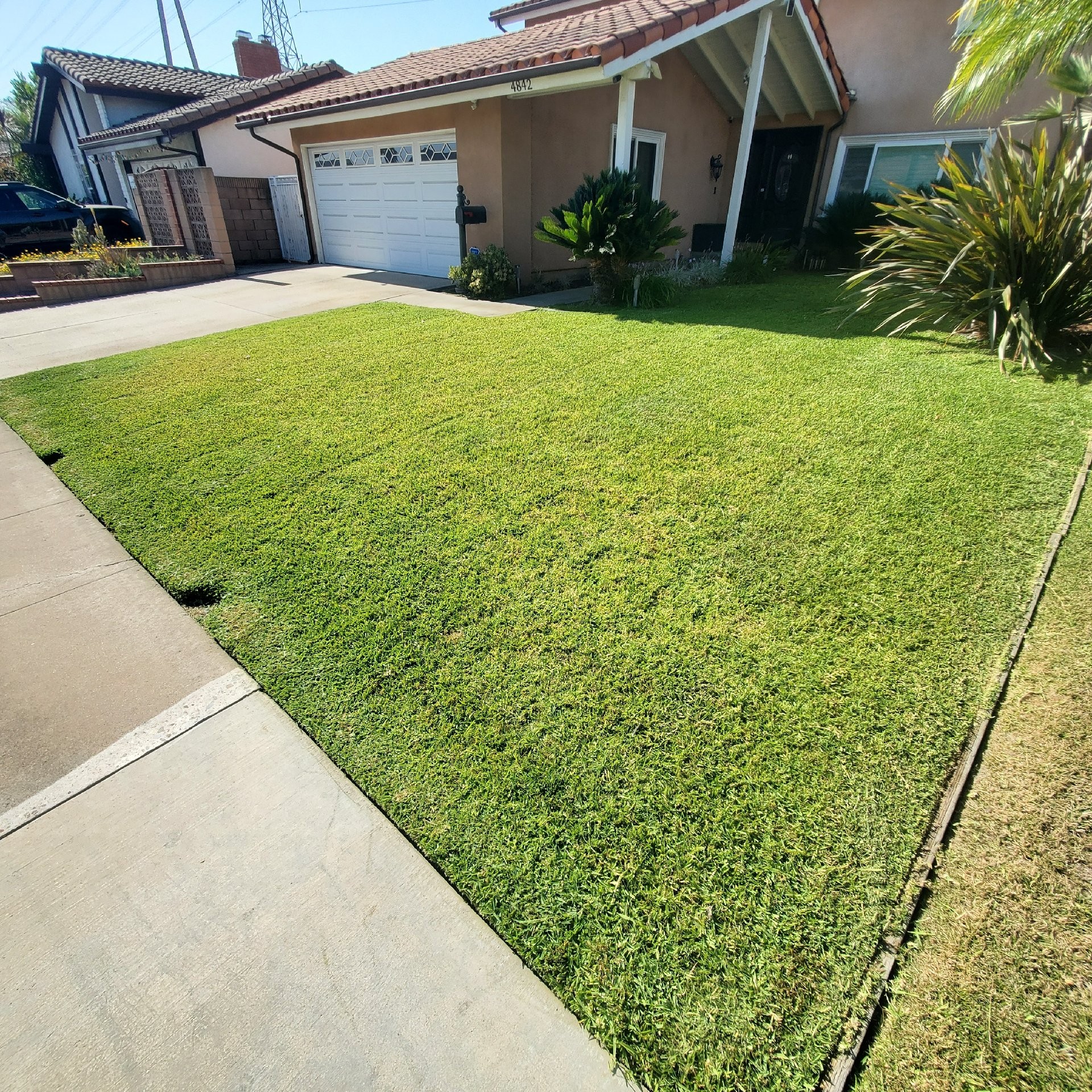 Lawn mowing work by Pampa Lawn & Garden in Beverly Hills, CA