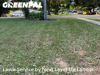 Grass Cut nearby Clermont, FL, 