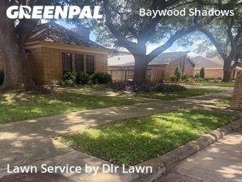 Landscape Design In Pasadena,77505,Landscapers by Dlr Lawn , work completed in Jul , 2026