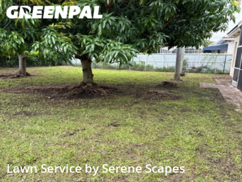 Yard Mowing nearby Homestead, FL, 