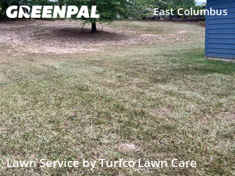 Lawn Mowing nearby Columbus, AL, 