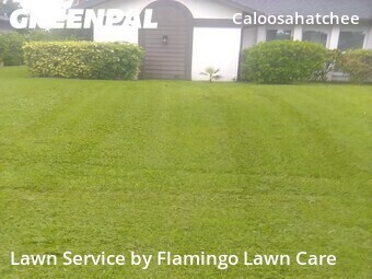 Grass Cutting nearby Cape Coral, FL, 