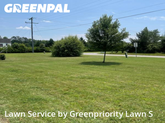 Lawn Care Service nearby Highland Springs, VA, 