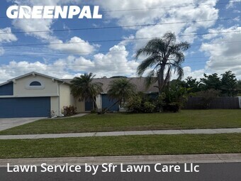 Lawn Cut nearby Palm Harbor, FL, 