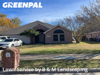 Yard Services in Forney, 75126, Turf Services by B & M Landscaping, work completed in Dec , 2025