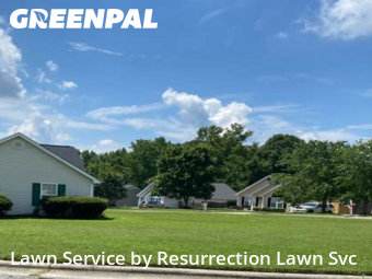 Grass Cut nearby Greensboro, NC, 
