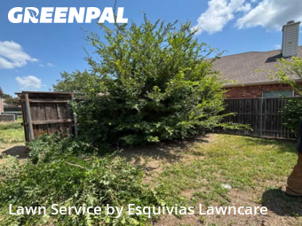Lawn Cut nearby Grand Prairie, TX, 