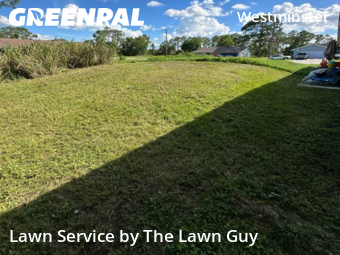 Grass Cut nearby Lehigh Acres, FL, 