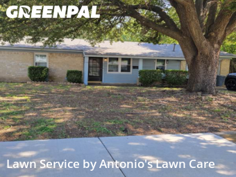 Lawn Cuttingin Euless,76039,Lawn Cutting by Antonio's Lawn Care, work completed in Dec , 2025