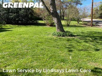 Lawn Service nearby Knoxville, TN, 