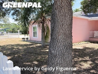 Lawn Mow nearby Palm Harbor, FL, 