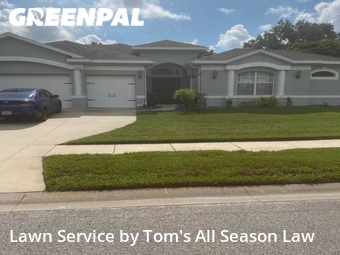 Yard Cutting nearby Spring Hill, FL, 