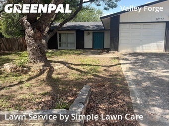 Grass Cutting nearby San Antonio, TX, 