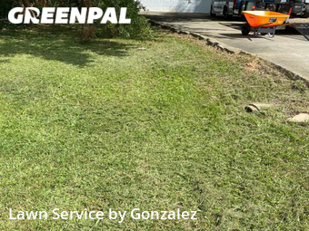 Lawn Cutting nearby Clayton, NC, 