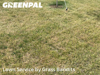 Lawn Cut nearby Billings, MT, 