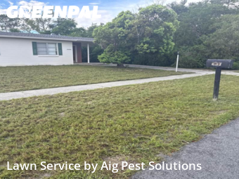 Lawn Cut nearby Spring Hill, FL, 