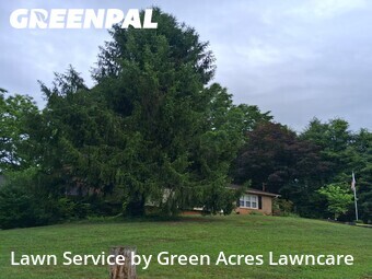 Lawn mowed in Johnson City, 37604