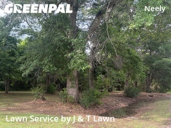 Lawn Cut nearby Mobile, AL, 