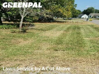 Lawn Cutting nearby Smyrna, TN, 