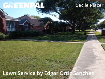 Lawn Mowingin Frisco,75035,Lawn Cutting by Edgar Ortiz Sanchez, work completed in Dec , 2025
