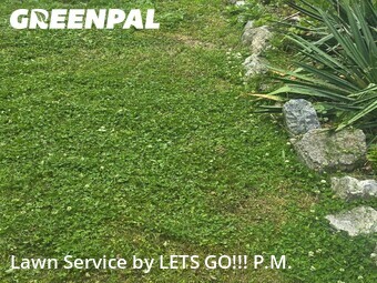 Lawn Care nearby Marietta, PA, 