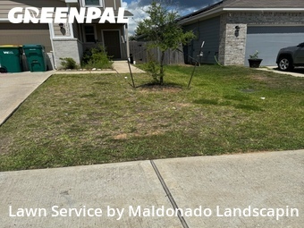 Lawn Servicein Tomball,77375,Lawn Maintenance by Maldonado Landscapin, work completed in Jun , 2026