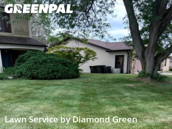 Grass Cut nearby Fort Wayne, IN, 