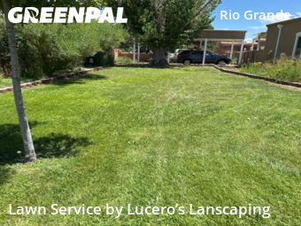 Lawn Service nearby Los Ranchos De Albuquerque, NM, 