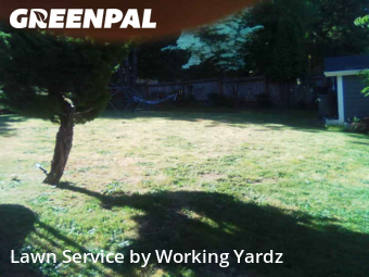 Lawn Cutting in Renton, 98058, Yard Services by Working Yardz, work completed in Aug , 2025