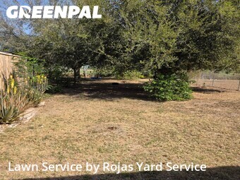 Lawn Care nearby Alamo, TX, 