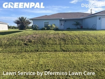 Landscaping Companies In Cape Coral,33909,Landscapers by Dfermins Lawn Care , work completed in Jul , 2026