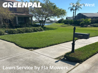 Lawn Cutting nearby Trinity, FL, 