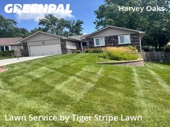 Yard Cutting nearby Omaha, NE, 