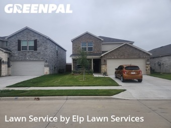 Lawn Service nearby Forney, TX, 