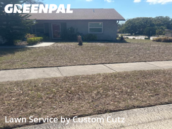 Lawn Mowing nearby Dunedin, FL, 