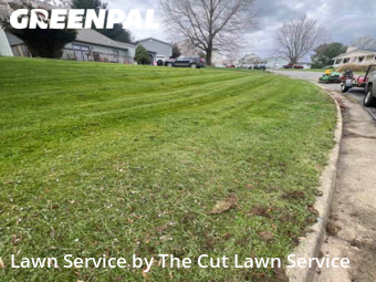 Lawn Mow nearby Roanoke, VA, 