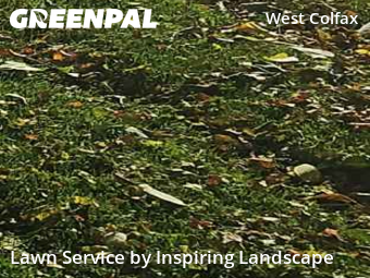 Lawn Cuttingin Denver,80204,Lawn Service by Inspiring Landscape, work completed in Nov , 2025