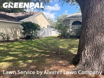 Lawn Mowing nearby Apopka, FL, 