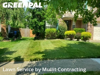 Lawn Maintenance nearby Lexington, KY, 
