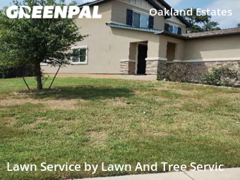 Yard Cutting nearby San Antonio, TX, 