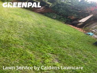 Lawn mowed in Deerfield Beach, 33442