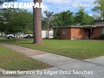 Grass Cut nearby Garland, TX, 