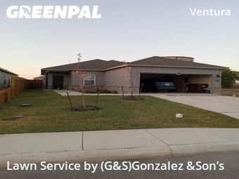 Lawn Maintenance nearby San Antonio, TX, 