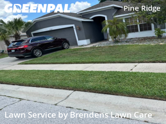 Yard Cutting nearby Hudson, FL, 